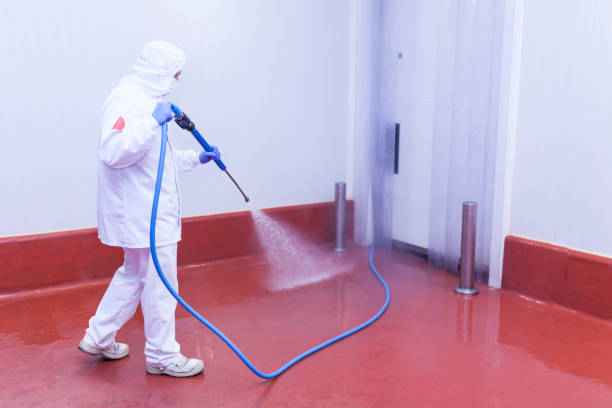 Best Sidewalk and Walkway Cleaning  in Thiensville, WI